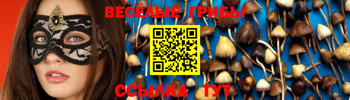 Галлюциногенные грибы ЛСД Шелехов